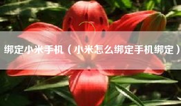 绑定小米手机（小米怎么绑定手机绑定）