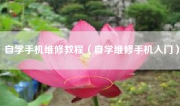 自学手机维修教程（自学维修手机入门）