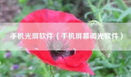 手机光屏软件（手机屏幕调光软件）
