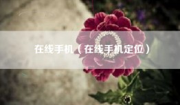 在线手机（在线手机定位）