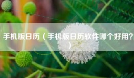 手机版日历（手机版日历软件哪个好用？）