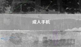 成人手机