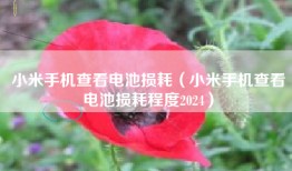 小米手机查看电池损耗（小米手机查看电池损耗程度2024）