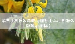 苹果手机怎么隐藏app图标（vivo手机怎么隐藏app图标）