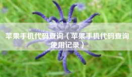 苹果手机代码查询（苹果手机代码查询使用记录）
