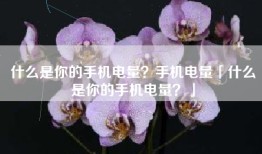 什么是你的手机电量？手机电量「什么是你的手机电量？」