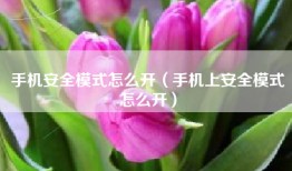 手机安全模式怎么开（手机上安全模式怎么开）