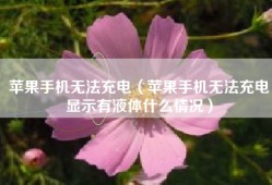 苹果手机无法充电（苹果手机无法充电显示有液体什么情况）