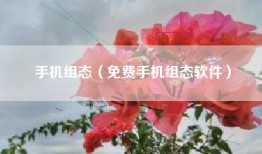 手机组态（免费手机组态软件）