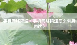 手机网络限速（手机网络限速怎么恢复网速）