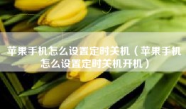 苹果手机怎么设置定时关机（苹果手机怎么设置定时关机开机）