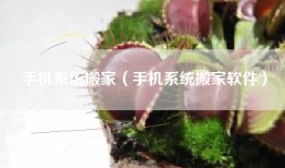 手机系统搬家（手机系统搬家软件）