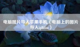 电脑图片导入苹果手机（电脑上的图片导入iphone）