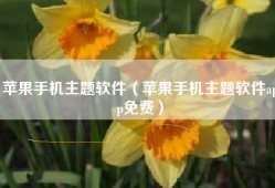 苹果手机主题软件（苹果手机主题软件app免费）