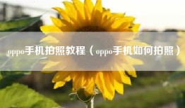 oppo手机拍照教程（oppo手机如何拍照）