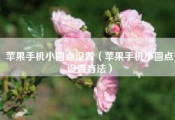 苹果手机小圆点设置（苹果手机小圆点设置方法）