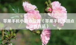 苹果手机小圆点设置（苹果手机小圆点设置方法）
