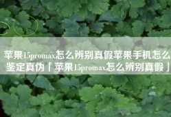 苹果15promax怎么辨别真假苹果手机怎么鉴定真伪「苹果15promax怎么辨别真假」