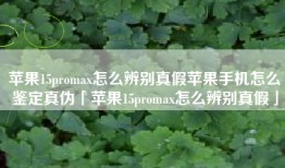 苹果15promax怎么辨别真假苹果手机怎么鉴定真伪「苹果15promax怎么辨别真假」