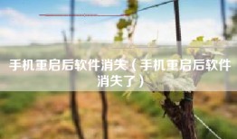 手机重启后软件消失（手机重启后软件消失了）