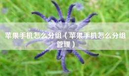 苹果手机怎么分组（苹果手机怎么分组管理）