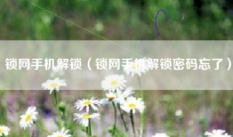 锁网手机解锁（锁网手机解锁密码忘了）