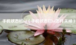 手机状态栏hd（手机状态栏hd怎样关掉）
