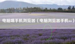 电脑端手机浏览器（电脑浏览器手机ua）
