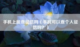 手机上能查征信吗（手机可以查个人征信吗？）