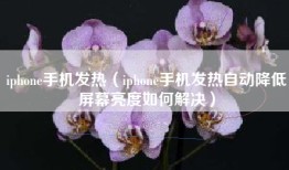iphone手机发热（iphone手机发热自动降低屏幕亮度如何解决）