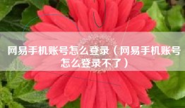 网易手机账号怎么登录（网易手机账号怎么登录不了）
