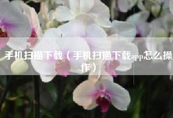 手机扫描下载（手机扫描下载app怎么操作）