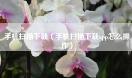 手机扫描下载（手机扫描下载app怎么操作）