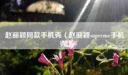 赵丽颖同款手机壳（赵丽颖supreme手机壳）