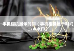 手机相机显示时间（手机相机显示时间地点水印）