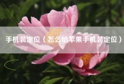 手机装定位（怎么给苹果手机装定位）