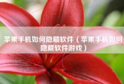 苹果手机如何隐藏软件（苹果手机如何隐藏软件游戏）