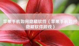 苹果手机如何隐藏软件（苹果手机如何隐藏软件游戏）