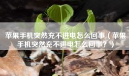 苹果手机突然充不进电怎么回事（苹果手机突然充不进电怎么回事？）