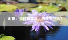 山东：乡村有奔头，农民有劲头！