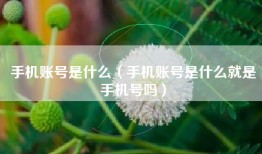 手机账号是什么（手机账号是什么就是手机号吗）