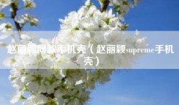 赵丽颖同款手机壳（赵丽颖supreme手机壳）