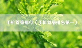 手机管家排行（手机管家排名第一）