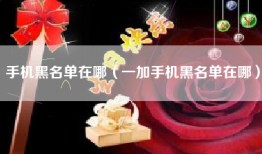手机黑名单在哪（一加手机黑名单在哪）