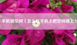 手机锁空间（怎么在手机上把空间锁上）