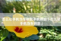 怎么让手机当车钥匙手机钥匙「怎么让手机当车钥匙」