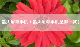 最大屏幕手机（最大屏幕手机是哪一款）