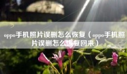 oppo手机照片误删怎么恢复（oppo手机照片误删怎么恢复回来）