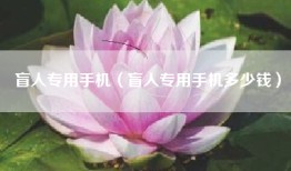 盲人专用手机（盲人专用手机多少钱）