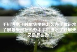 手机进水了触屏失灵是怎么办手机进水了屏幕失灵怎么办「手机进水了触屏失灵是怎么办」